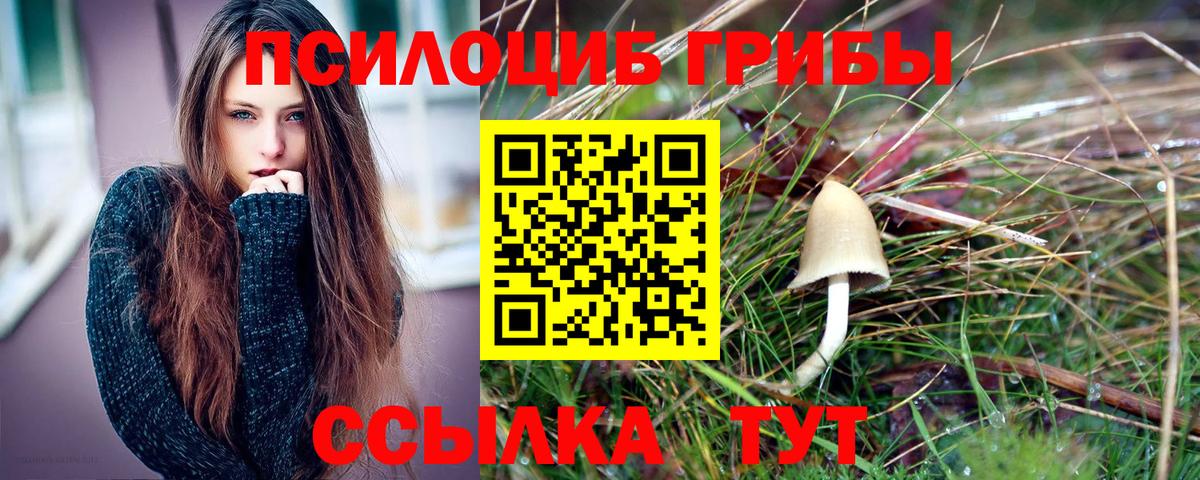 Псилоцибиновые грибы Cubensis Нижнеудинск